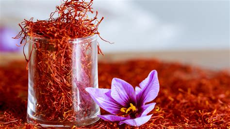 saffron videos